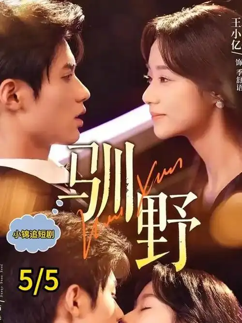 雾港迷局 港剧全集免费在线观看